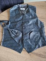 Nieuw zilvergrijs Wilvorst gilet met bijpassende vlinderdas, Ophalen of Verzenden, Nieuw