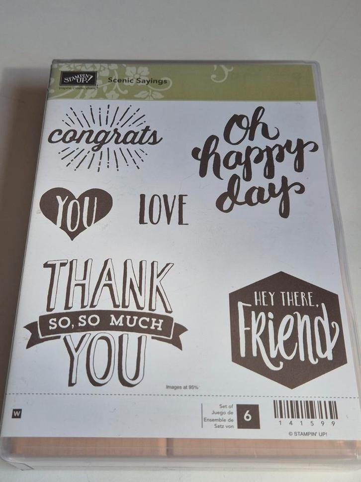 Stampin Up, Scenic Sayingdms, 141599, Hobby en Vrije tijd, Stempelen, Zo goed als nieuw, Houten stempel, Ophalen of Verzenden