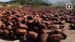 cacaodoppen per 50 ltr., Tuin en Terras, Aarde en Mest, Ophalen