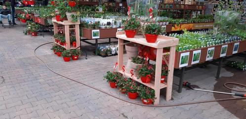 oppottafel van Douglashout, Tuin en Terras, Tuintafels, Nieuw, Rechthoekig, Hout, Ophalen of Verzenden