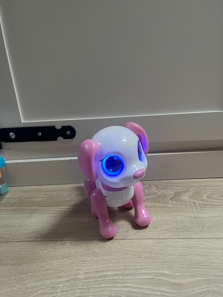 Robot Hondje, Ophalen, Gebruikt, Overige typen, Met licht