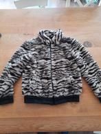Te koop winterjas maat 152 persival, Kinderen en Baby's, Ophalen of Verzenden, Zo goed als nieuw, Meisje, Jas