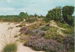 DIEVER Heide, Verzamelen, Ansichtkaarten | Nederland, Verzenden, 1960 tot 1980, Gelopen, Drenthe