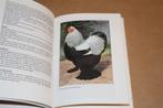 Grote hoenders. Kleindieren handboek., Ophalen of Verzenden, Zo goed als nieuw, Vogels