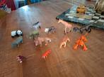 Wilde dieren en dinosaurussen. Complete set ., Ophalen of Verzenden, Zo goed als nieuw