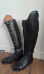 Vrijwel nieuwe Petrie dressuurlaarzen mt 41, Dieren en Toebehoren, Paardrijkleding, Dressuur, Ophalen of Verzenden, Zo goed als nieuw