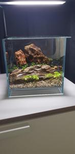 DOOA aquarium met verlichting, Dieren en Toebehoren, Vissen | Aquaria en Toebehoren, Ophalen, Gebruikt, Leeg aquarium