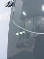 Mercedes Benz Sprinter W907 achterdeur links A9077405100, Gebruikt, -, Deur, -