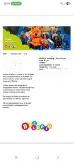 Entree kind ballorig, Eén persoon, Ticket of Toegangskaart