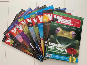 10x Weet magazine