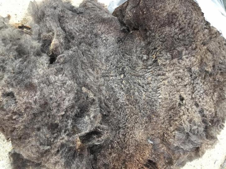 Prachtige schapenwol, diverse soorten en kleuren, Hobby en Vrije tijd, Spinnewielen en Spinnen, Nieuw, Spinwol, Ophalen of Verzenden