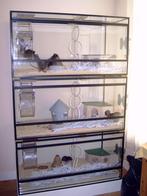 Nieuw knaagdieren verblijf Kijk en vergelijk, Minder dan 60 cm, Hamster, Nieuw, Ophalen of Verzenden