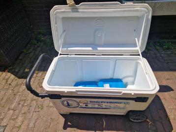 Iglo coolbox 104 liter  beschikbaar voor biedingen