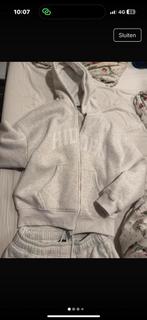 Hidden Hilsa trainingspak grijs, Kleding | Dames, Huispakken, Ophalen of Verzenden, Zo goed als nieuw, Grijs