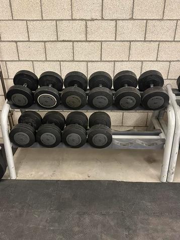 Technogym dumbell set 30kg tot 38kg beschikbaar voor biedingen