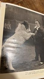 Circus circusboek Op reis met mens en dier. Boek 30-er jaren, Ophalen of Verzenden, Zo goed als nieuw