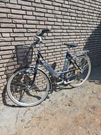 Gazelle damesfiets 57 cm, Ophalen, Gebruikt, Versnellingen, 56 cm of meer