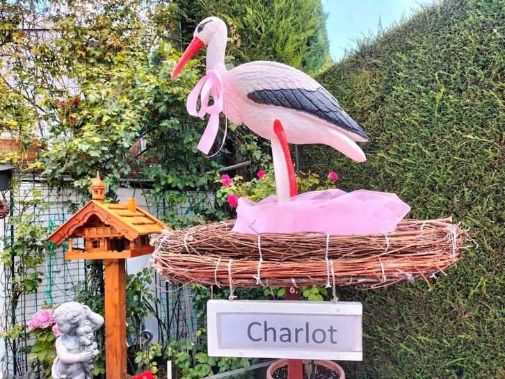 Ooievaar en ooievaarsnest te huur, baby geboren!, Kinderen en Baby's, Kraamcadeaus en Geboorteborden, Nieuw, Geboortebord, Ophalen