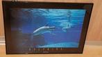 Te koop: poster met dolfijnen en zwarte lijst, Huis en Inrichting, Ophalen, 50 tot 75 cm, Zo goed als nieuw, Schilderij