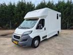 Peugeot Boxer paardenwagen (bj 2015), Wit, Bedrijf, Te koop, 2198 cc