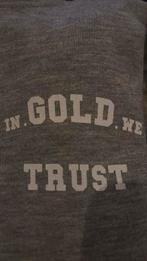 In gold we trust 14/16 hoodie grijs, Ophalen of Verzenden, Zo goed als nieuw, Jongen of Meisje, Trui of Vest