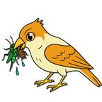 Voederdieren!, Dieren en Toebehoren, Ophalen, Anthonie fokkerstraat 57P, De Reptielenboer, Nieuw