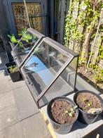 Moestuin kas, kweekkas, koudebak, greenhouse. NIEUW, Ophalen, Nieuw