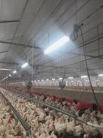 led tl armaturen gratis, Doe-het-zelf en Verbouw, Bouwverlichting, Ophalen, Gebruikt, Minder dan 50 watt, Lamp met armatuur