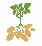 Landbouwgrond te huur gevraagd, Zakelijke goederen, Agrarisch | Agrarisch Onroerend goed, Ophalen, Akkerbouwbedrijf