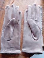 Nieuwe Suède Handschoenen, Ophalen of Verzenden, Nieuw, Handschoenen