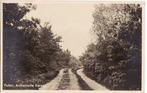 Putten (Gld) Arnhemsche karweg 1938., Verzenden, 1920 tot 1940, Gelopen, Gelderland