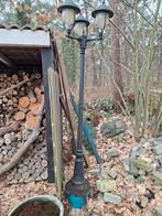 Klassieke tuinverlichting, Bloeit niet, Halfschaduw, 100 tot 250 cm, Overige soorten