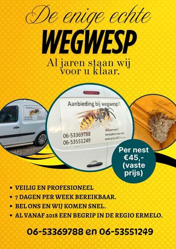 Heeft u last van wespen, wespennest. Wespenbestrijding. beschikbaar voor biedingen