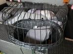 Honden of  katten fiets mand, Ophalen of Verzenden, Zo goed als nieuw, Riet