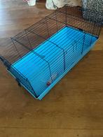 Cavia hok binnen, Dieren en Toebehoren, Gebruikt, Hok, 75 tot 110 cm, Cavia