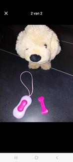 Baby born hond, Ophalen, Gebruikt, Hond