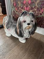 Shih Tzu hondenbeeld, Ophalen, Dier