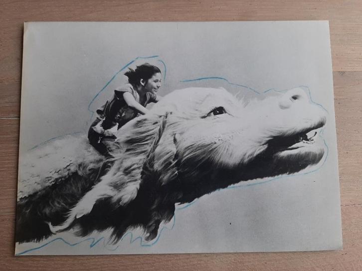 Originele Pers foto film The Never Ending Story, 1984, Verzamelen, Film en Tv, Zo goed als nieuw, Film, Foto of Kaart, Ophalen of Verzenden