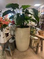 Handgemaakte beige tuinvaas/ pot, Ophalen, Nieuw, X, X