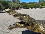 Brons - Goud kleurig krokodil beeld te koop, Tuin en Terras, Nieuw, Kunststof, Ophalen, Dierenbeeld