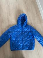 Tussenjas lentejas maat S, Blauw, Ophalen of Verzenden, Zo goed als nieuw, Maat 36 (S)