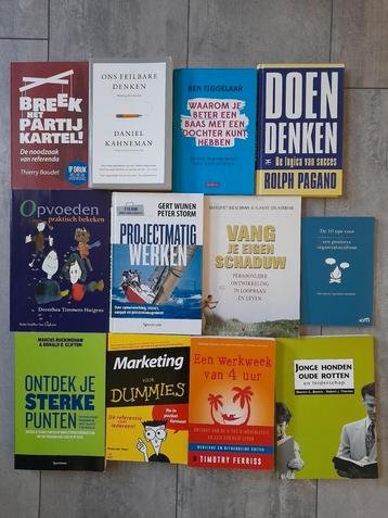 12 boeken over management en ontwikkeling  beschikbaar voor biedingen