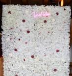 Fotobooth backdrop bruiloft, Huis en Inrichting, Ophalen of Verzenden