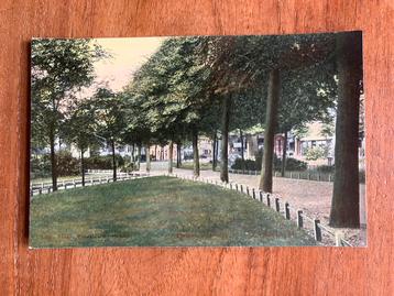 Zaandam. Plantsoen Zuiddijk. beschikbaar voor biedingen