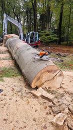 Boomverzorger zoekt bomen, Garantie, Tuinonderhoud of Snoeiwerk