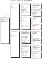 11 Top kweker van postduiven met zeer goede afstamming, Vrouwelijk, Postduif