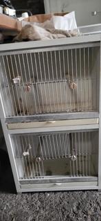 Isolatie kooi, Dieren en Toebehoren, Ophalen, Zo goed als nieuw, Hout, Vogelkooi