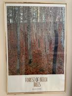 Poster Gustav Klimt in lijst, Ophalen, Met lijst, Deurposter of groter, Overige onderwerpen