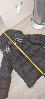Burberry puffer lockwell valt als M, Maat 48/50 (M), Nieuw, Ophalen of Verzenden, Jack