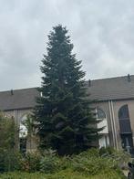 Kerstboom te koop, Tuin en Terras, Planten | Bomen, Ophalen, Volle zon, Overige soorten